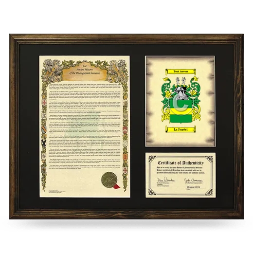 La Forêst Framed Surname History and Coat of Arms - Brown